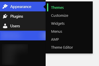 Themes option in wordpress