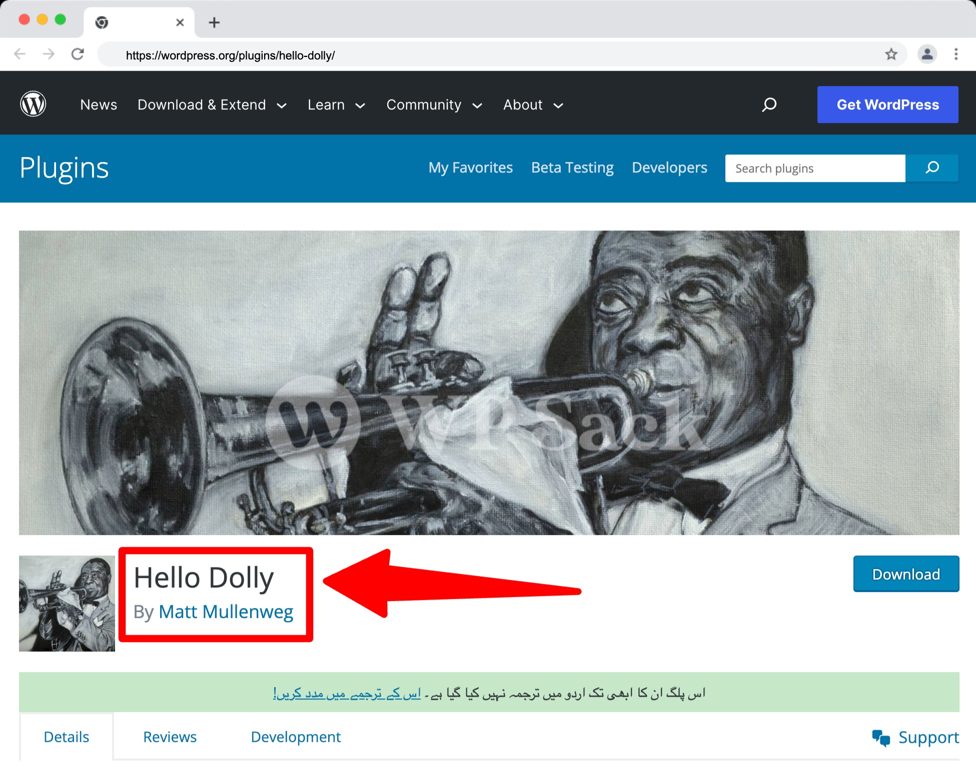 What Is Hello Dolly Plugin
